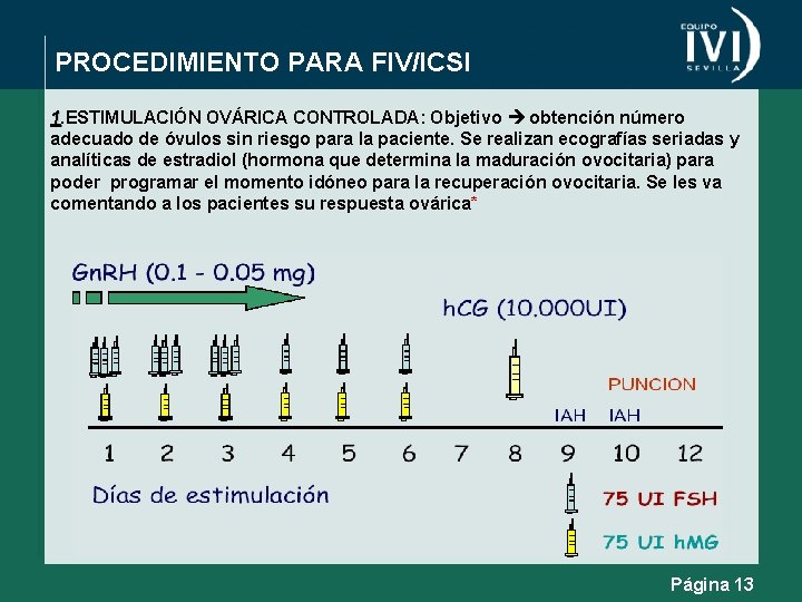 PROCEDIMIENTO PARA FIV/ICSI 1. ESTIMULACIÓN OVÁRICA CONTROLADA: Objetivo obtención número adecuado de óvulos sin