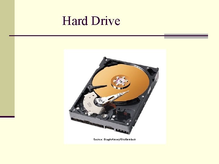 Hard Drive Source: Bragin. Alexey/Shutterstock 