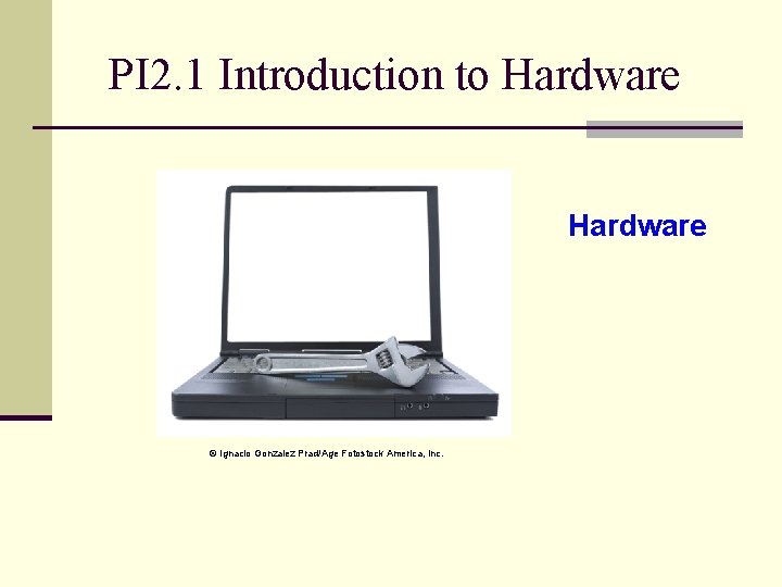 PI 2. 1 Introduction to Hardware © Ignacio Gonzalez Prad/Age Fotostock America, Inc. 