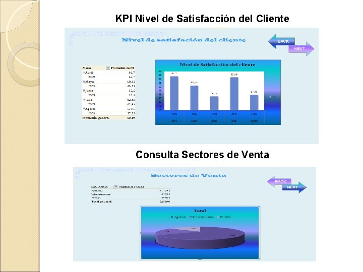 KPI Nivel de Satisfacción del Cliente Consulta Sectores de Venta 