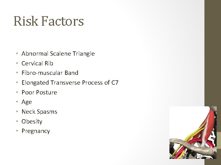Risk Factors • • • Abnormal Scalene Triangle Cervical Rib Fibro-muscular Band Elongated Transverse