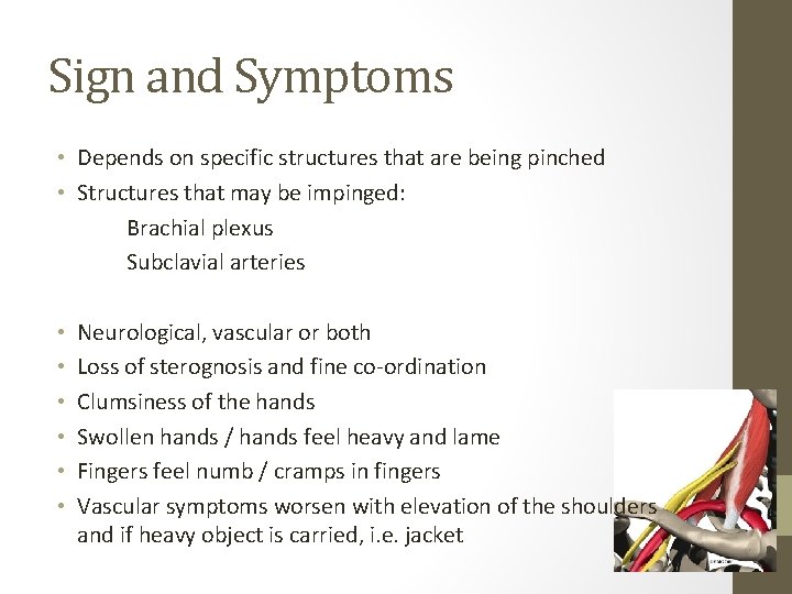 Sign and Symptoms • Depends on specific structures that are being pinched • Structures