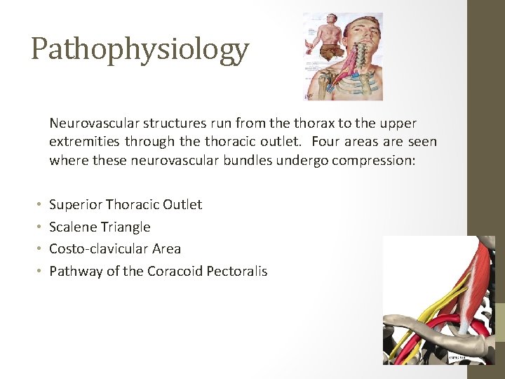 Pathophysiology Neurovascular structures run from the thorax to the upper extremities through the thoracic