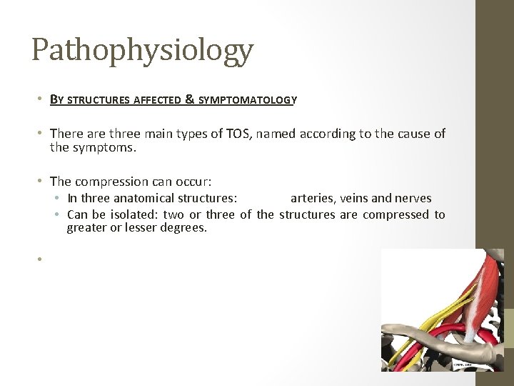 Pathophysiology • BY STRUCTURES AFFECTED & SYMPTOMATOLOGY • There are three main types of