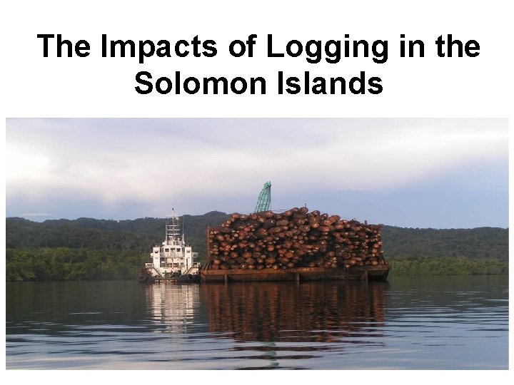 The Impacts of Logging in the Solomon Islands Pic to be taken in Marovo