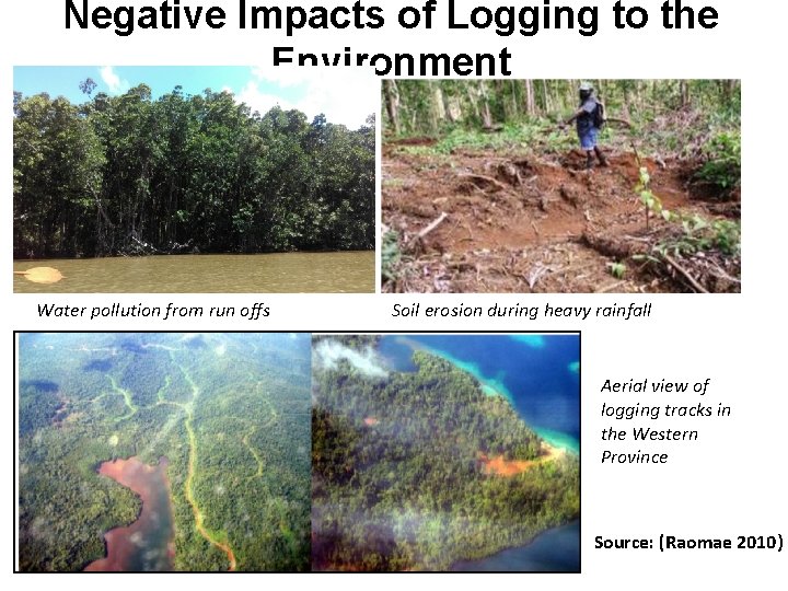 Negative Impacts of Logging to the Environment Water pollution from run offs Soil erosion