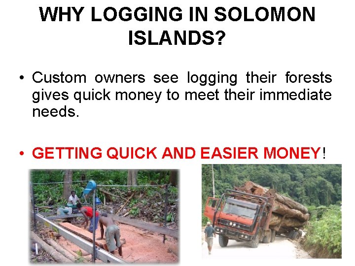 WHY LOGGING IN SOLOMON ISLANDS? • Custom owners see logging their forests gives quick