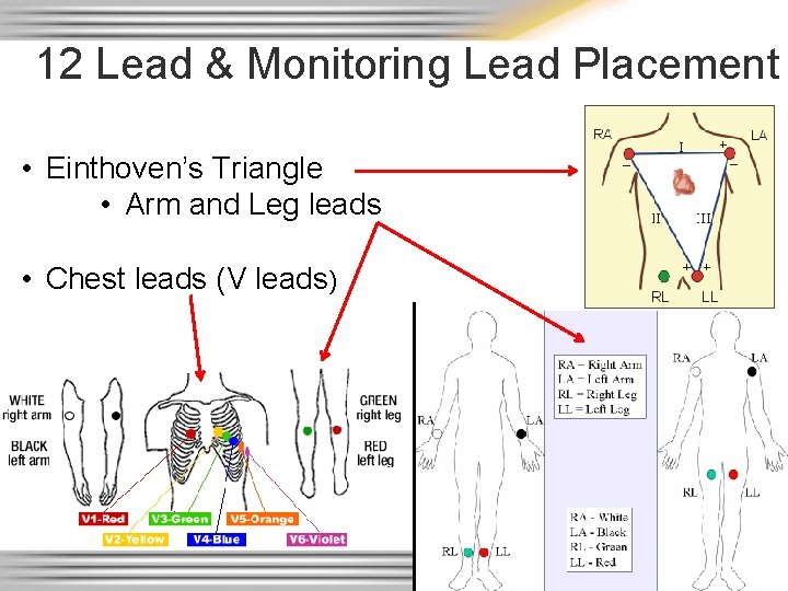 12 Lead & Monitoring Lead Placement • Einthoven’s Triangle • Arm and Leg leads