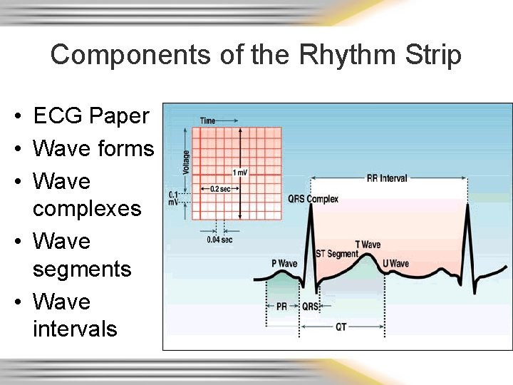 Components of the Rhythm Strip • ECG Paper • Wave forms • Wave complexes
