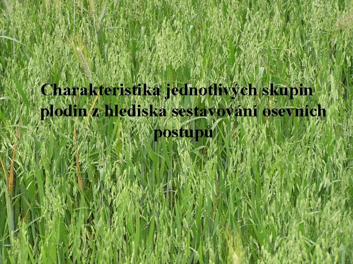 Charakteristika jednotlivých skupin plodin z hlediska sestavování osevních postupů Charakteristika jednotlivých skupin plodin z hlediska sestavování osevních postupů