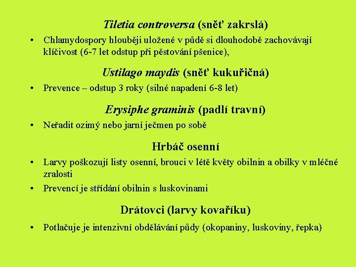 Tiletia controversa (sněť zakrslá) • Chlamydospory hlouběji uložené v půdě si dlouhodobě zachovávají klíčivost Tiletia controversa (sněť zakrslá) • Chlamydospory hlouběji uložené v půdě si dlouhodobě zachovávají klíčivost