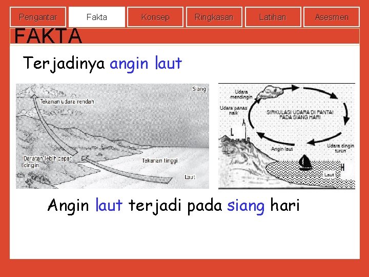 Pengantar Fakta Konsep Ringkasan Latihan FAKTA Terjadinya angin laut Angin laut terjadi pada siang