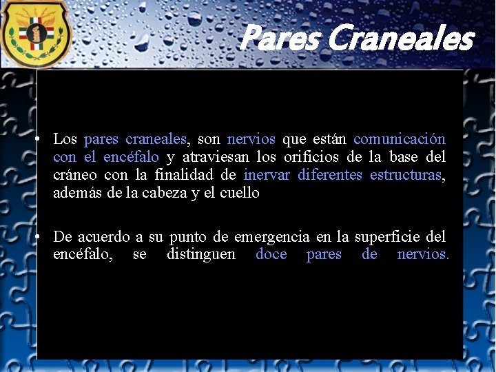 Pares Craneales • Los pares craneales, son nervios que están comunicación con el encéfalo Pares Craneales • Los pares craneales, son nervios que están comunicación con el encéfalo