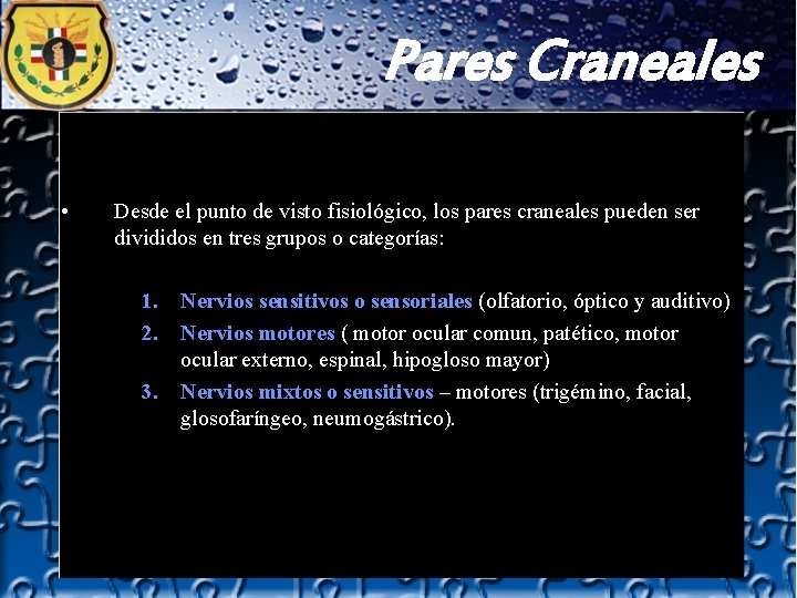 Pares Craneales • Desde el punto de visto fisiológico, los pares craneales pueden ser