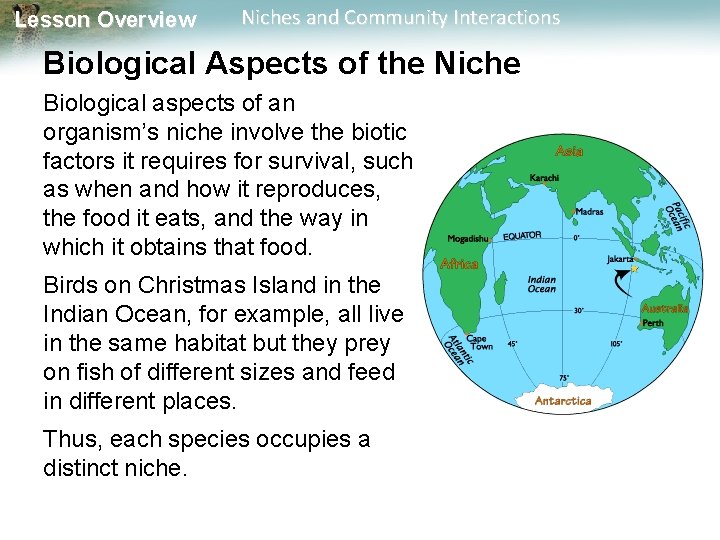 Lesson Overview Niches and Community Interactions Biological Aspects of the Niche Biological aspects of