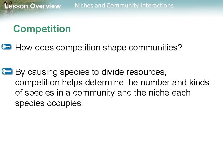 Lesson Overview Niches and Community Interactions Competition How does competition shape communities? By causing