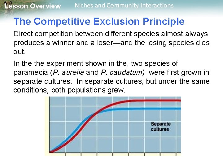 Lesson Overview Niches and Community Interactions The Competitive Exclusion Principle Direct competition between different