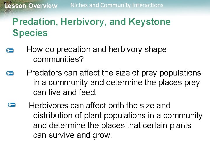 Lesson Overview Niches and Community Interactions Predation, Herbivory, and Keystone Species How do predation