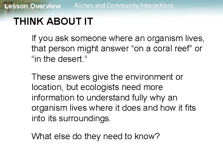 Lesson Overview Niches and Community Interactions THINK ABOUT IT If you ask someone where