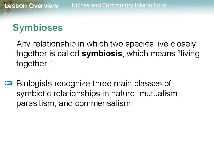 Lesson Overview Niches and Community Interactions Symbioses Any relationship in which two species live
