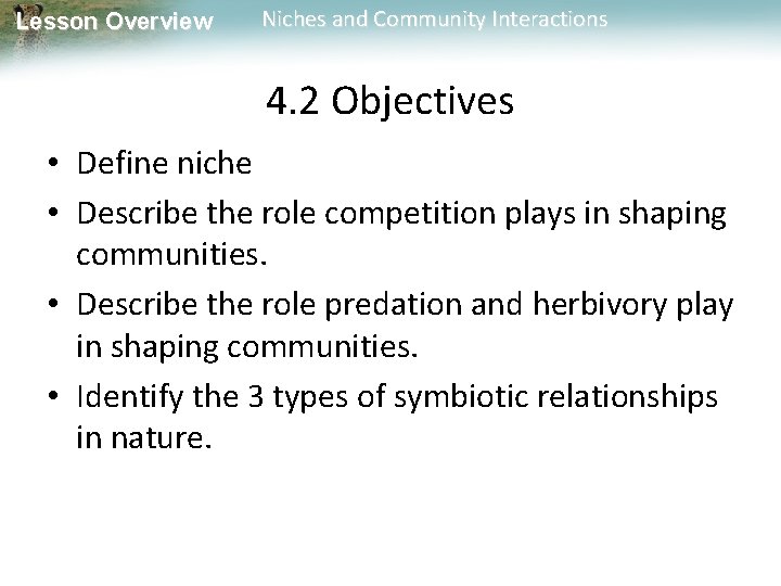 Lesson Overview Niches and Community Interactions 4. 2 Objectives • Define niche • Describe