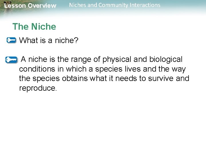 Lesson Overview Niches and Community Interactions The Niche What is a niche? A niche