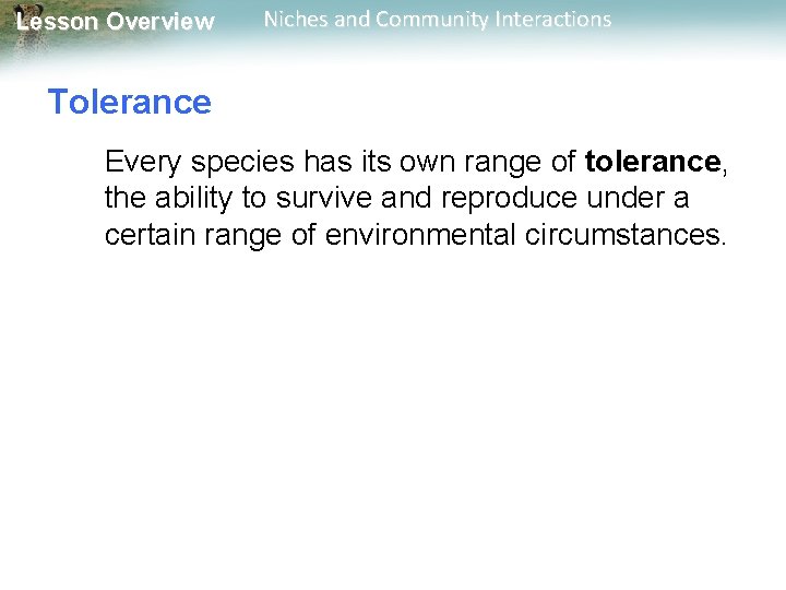 Lesson Overview Niches and Community Interactions Tolerance Every species has its own range of