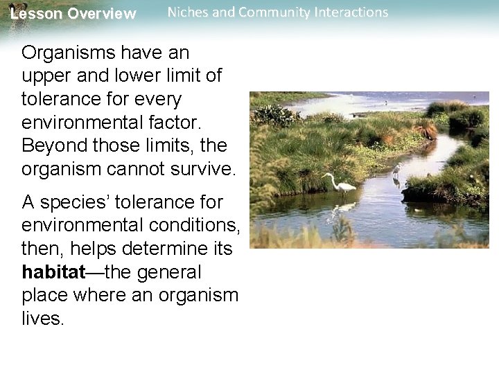 Lesson Overview Niches and Community Interactions Organisms have an upper and lower limit of