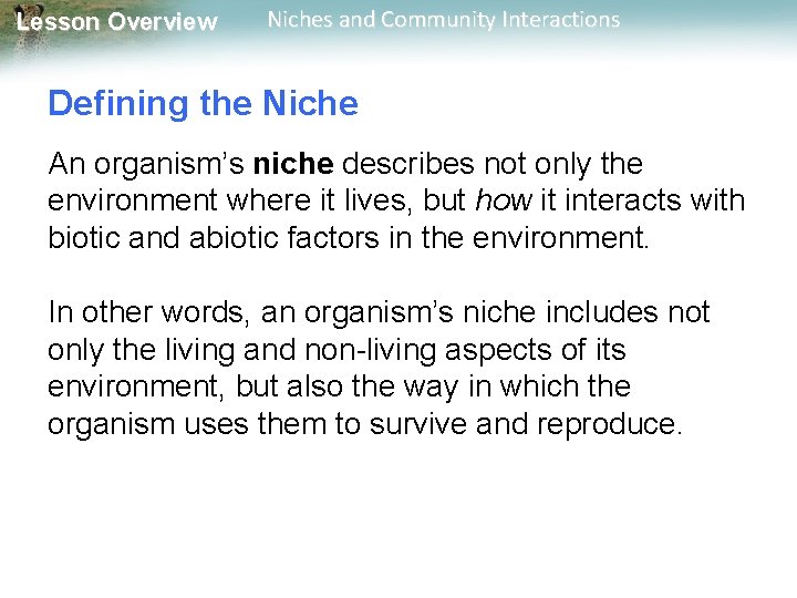 Lesson Overview Niches and Community Interactions Defining the Niche An organism’s niche describes not