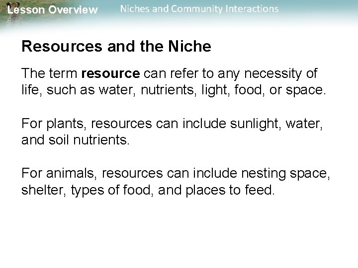 Lesson Overview Niches and Community Interactions Resources and the Niche The term resource can