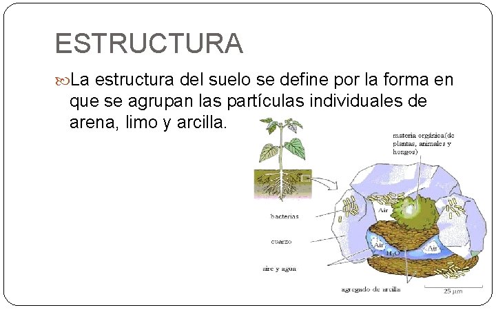 ESTRUCTURA La estructura del suelo se define por la forma en que se agrupan