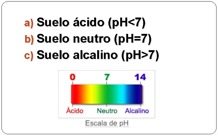 a) Suelo ácido (p. H<7) b) Suelo neutro (p. H=7) c) Suelo alcalino (p.