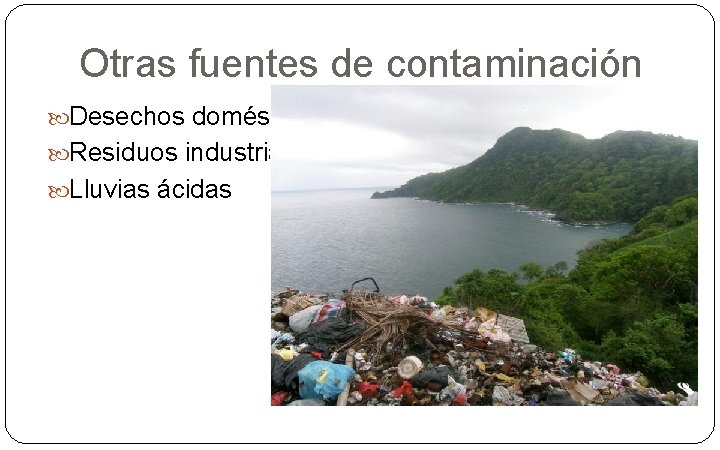Otras fuentes de contaminación Desechos domésticos Residuos industriales Lluvias ácidas 