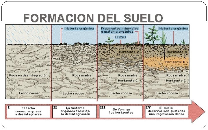 FORMACION DEL SUELO 