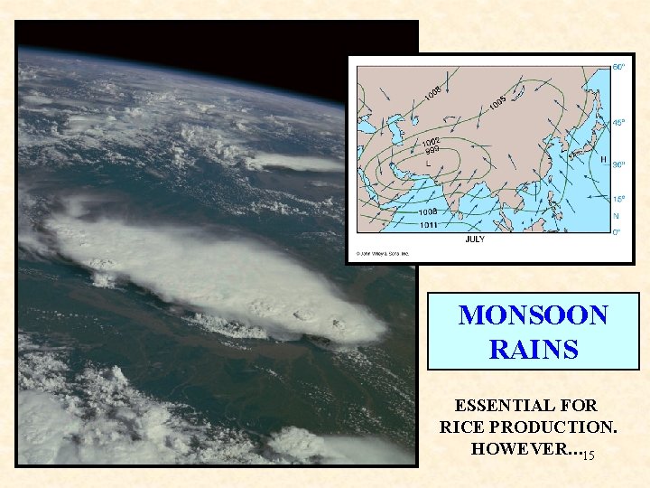 MONSOON RAINS ESSENTIAL FOR RICE PRODUCTION. HOWEVER… 15 