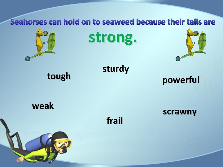 Seahorses can hold on to seaweed because their tails are strong. tough sturdy weak