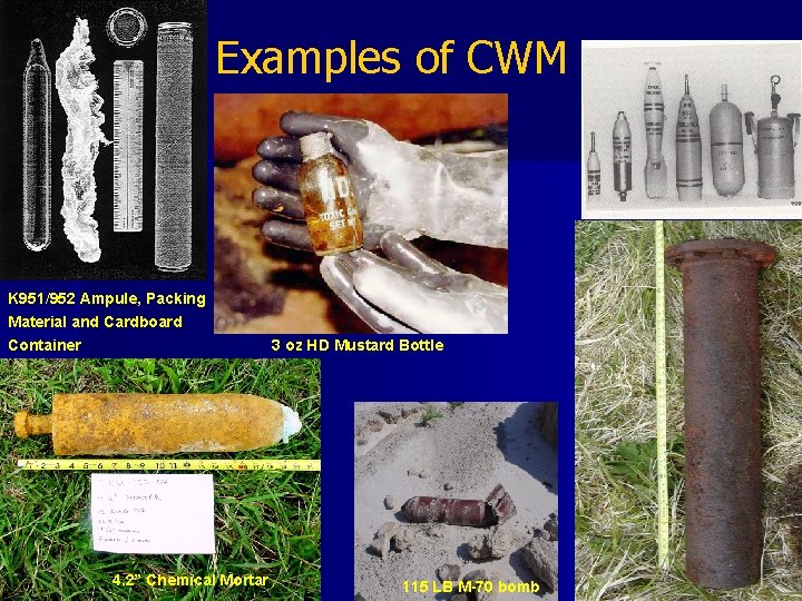 Examples of CWM K 951/952 Ampule, Packing Material and Cardboard Container 4. 2” Chemical