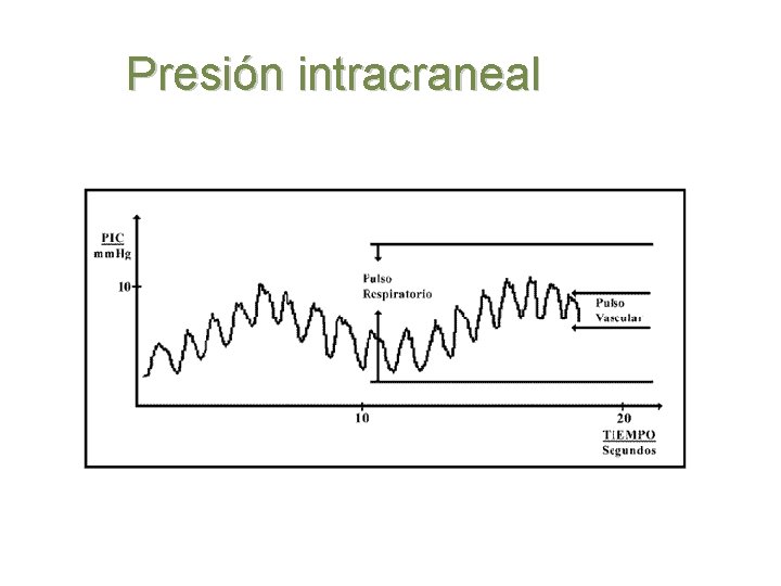 Presión intracraneal 