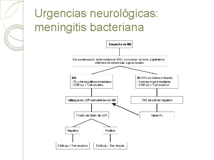 Urgencias neurológicas: meningitis bacteriana 