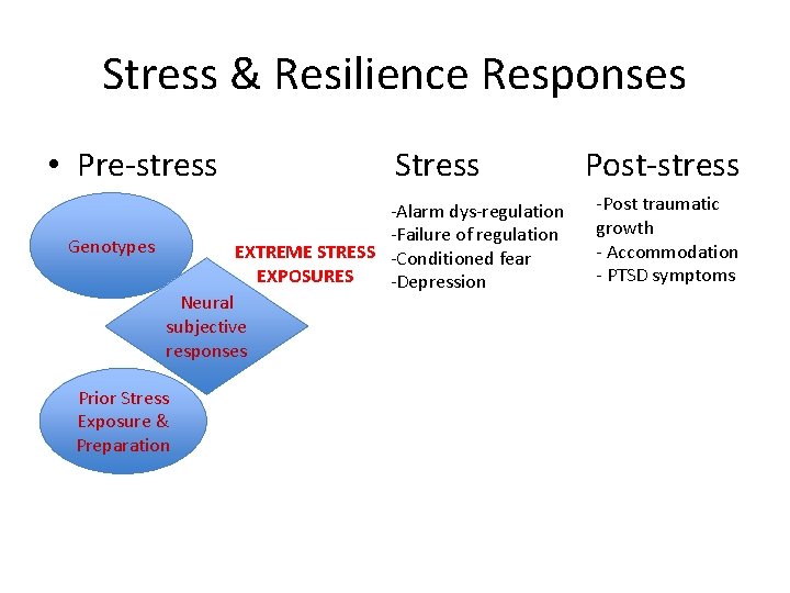 Stress & Resilience Responses • Pre-stress Stress Post-stress -Alarm dys-regulation -Failure of regulation Genotypes