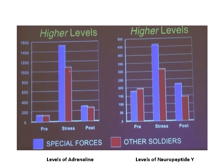 Levels of Adrenaline Levels of Neuropeptide Y 