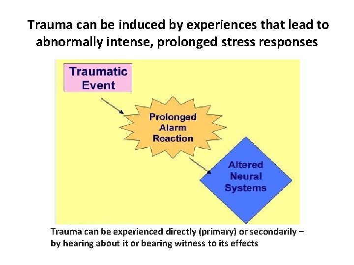  Trauma can be induced by experiences that lead to abnormally intense, prolonged stress