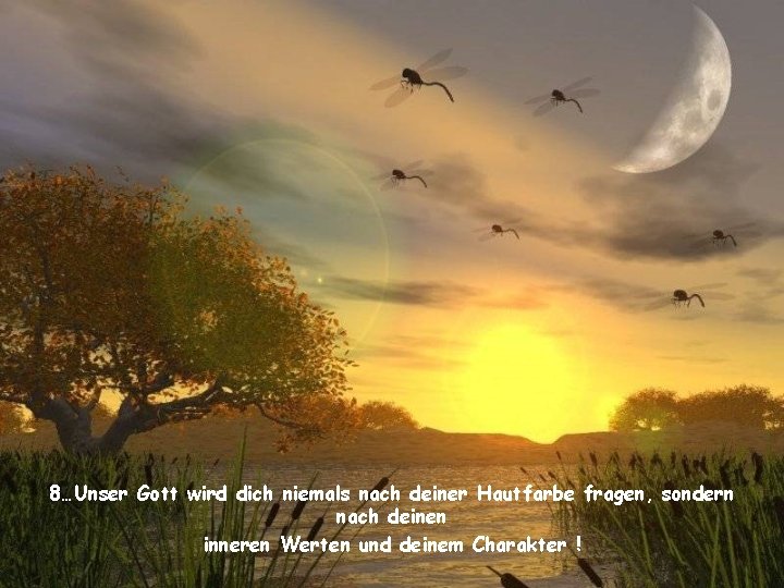 8…Unser Gott wird dich niemals nach deiner Hautfarbe fragen, sondern nach deinen inneren Werten