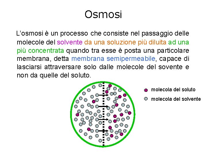 Osmosi L’osmosi è un processo che consiste nel passaggio delle molecole del solvente da