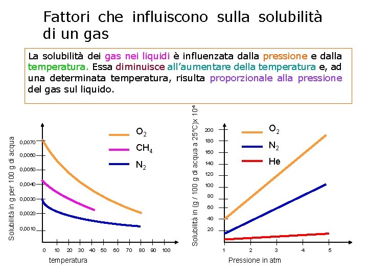 Fattori che influiscono sulla solubilità di un gas Solubilità in (g / 100 g