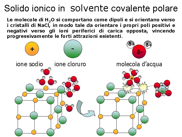 Solido ionico in solvente covalente polare Le molecole di H 2 O si comportano