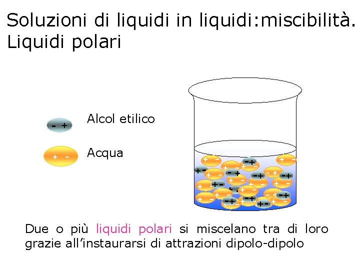 Soluzioni di liquidi in liquidi: miscibilità. Liquidi polari Alcol etilico + + - Acqua