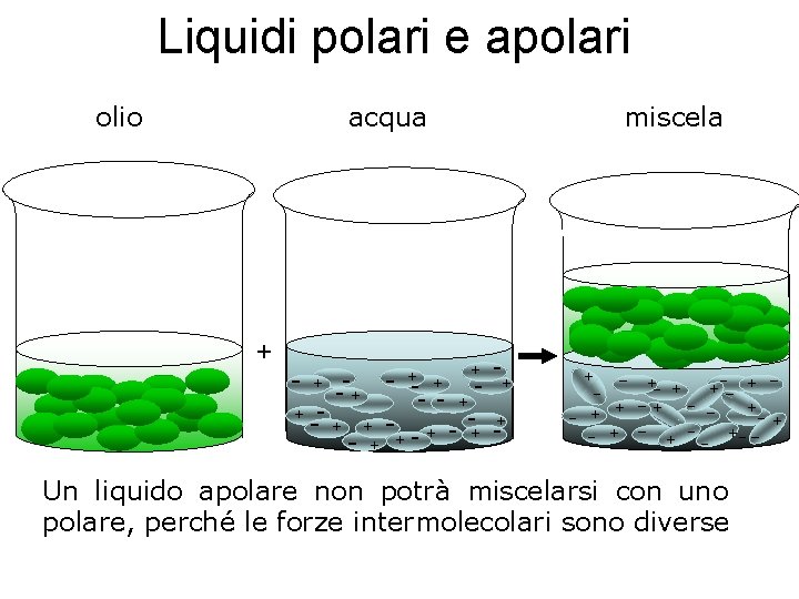 Liquidi polari e apolari olio acqua miscela + ++ + + + + +