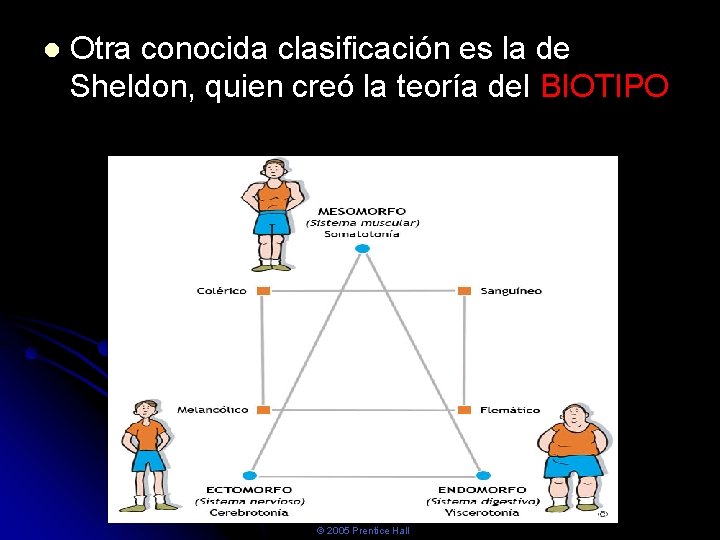 Otra conocida clasificación es la de Sheldon, quien creó la teoría del BIOTIPO Otra conocida clasificación es la de Sheldon, quien creó la teoría del BIOTIPO
