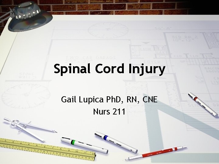 Spinal Cord Injury Gail Lupica Ph. D, RN, CNE Nurs 211 